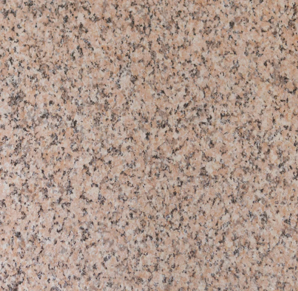 SGSW01 flooring color sample